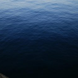 タチウオ調査後サバゲー