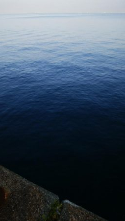 タチウオ調査後サバゲー