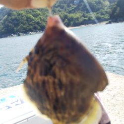 タチウオ&キスリベンジ