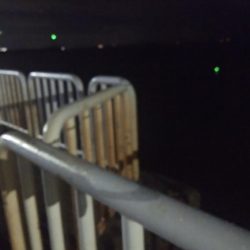 やっとタチウオ釣れた