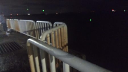 やっとタチウオ釣れた