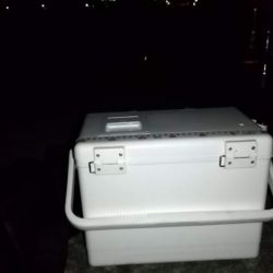 マズメ～ナイトエギングで胴長15cm