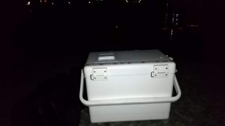 マズメ～ナイトエギングで胴長15cm