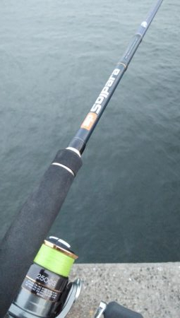 タチウオ調査でやっとタチウオ