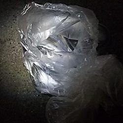 たちうおエサなくなるまで釣れる