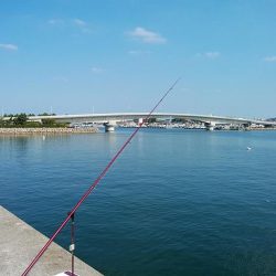 東二見白灯台波止へキス調査