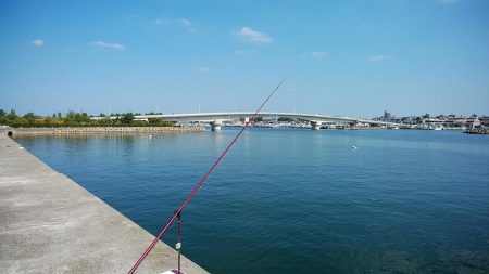 東二見白灯台波止へキス調査