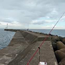 高砂港でリベンジキス