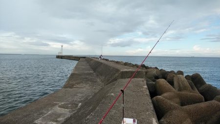 高砂港でリベンジキス