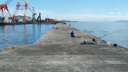 播磨新島のキスが釣れ始めました