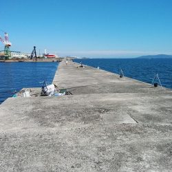 播磨新島へ４連投