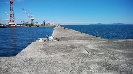 播磨新島へ４連投