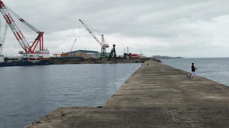 今日も播磨新島のキス調査