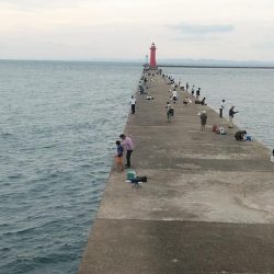 時合いバッチリの播磨新島釣行