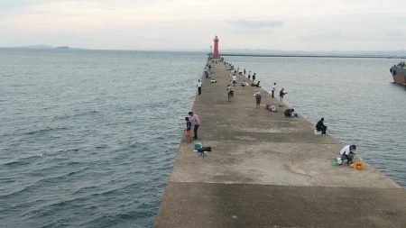 時合いバッチリの播磨新島釣行