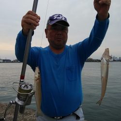 ピークを迎えた播磨新島のキス