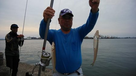 ピークを迎えた播磨新島のキス