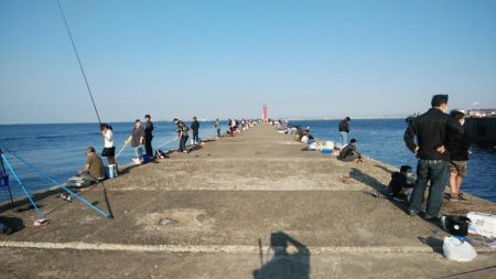 播磨新島でシーズン最大のキスが釣れました