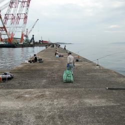 播磨新島８連投