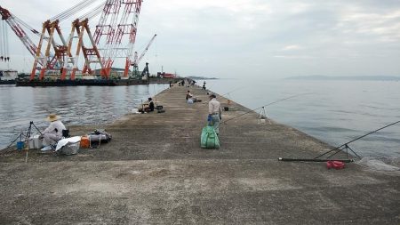 播磨新島８連投