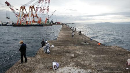 早朝から播磨新島へキス調査