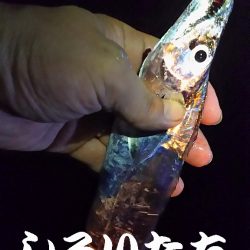 今日はタチウオ10匹釣る!と余裕のつもりが厳しかった!