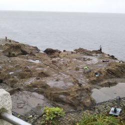 小雨の磯は穏やかでした