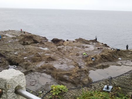 小雨の磯は穏やかでした