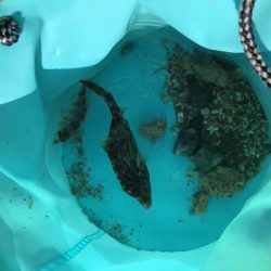 連休3日目!人、人、人