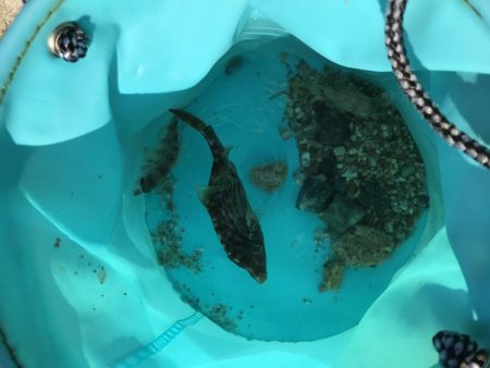 連休3日目!人、人、人