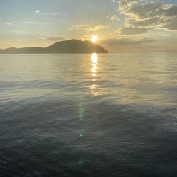 早く大きくな～れ！