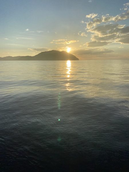 早く大きくな～れ！