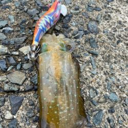 過去最高の・・・