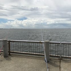 ゼンメ、アナゴ