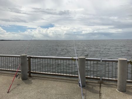 ゼンメ、アナゴ