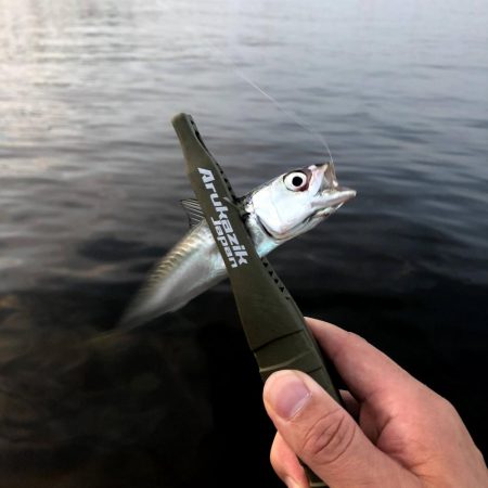 早朝サバングin大阪舞洲11