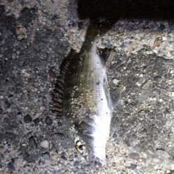 アシストフックを試してみた