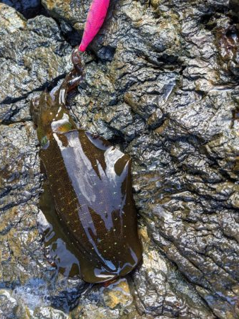 少し成長したかな