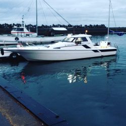 遊漁船SOUTH 9/11釣果