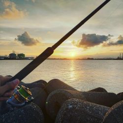 水潮攻略！思惑通りにメジロGET！