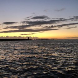 メバルの季節！？