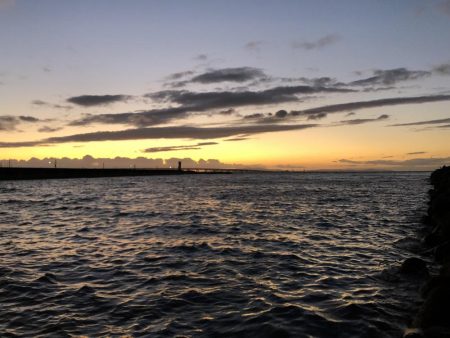 メバルの季節！？