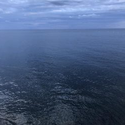 2020 佐渡ヶ島エギング 11回目