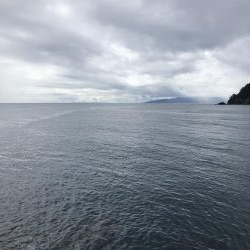 2020 佐渡ヶ島エギング 17回目