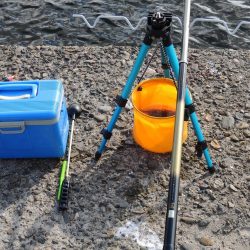 久々のエビ撒き釣り