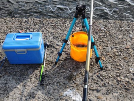 久々のエビ撒き釣り