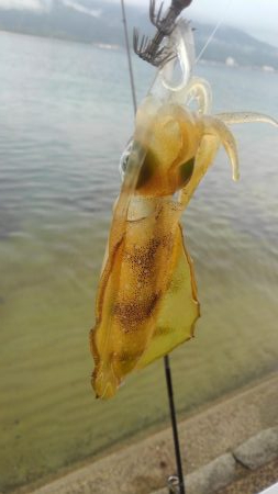 朝寝坊で導かれた？