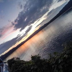 久しぶりのホーム調査～