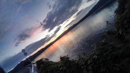 久しぶりのホーム調査～