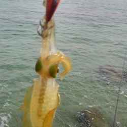 連休に連チャン調査